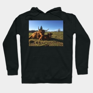 Scottish Highland Cattle Cow and Calf 1755 Hoodie